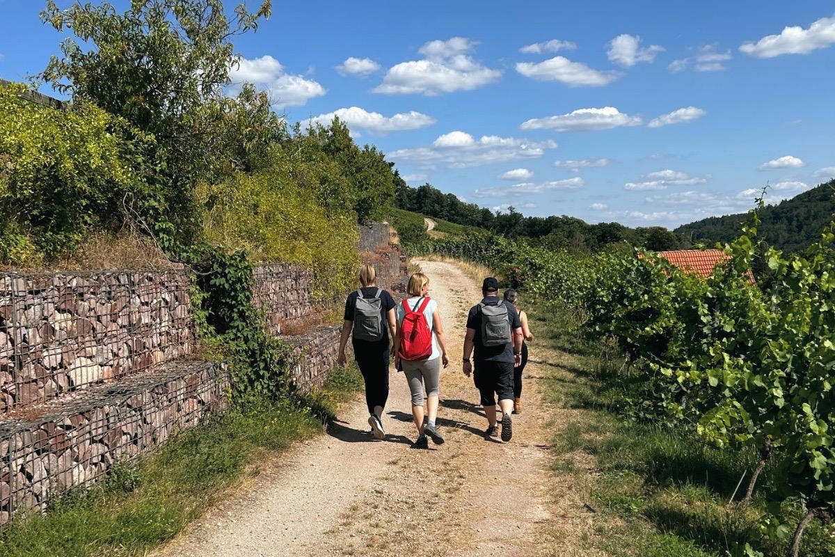 Sektempfang beim Weingut beim REBENGLÜCK Firmenevent